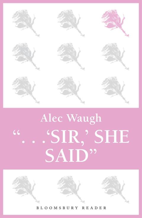 Cover image for book Sir!' She Said