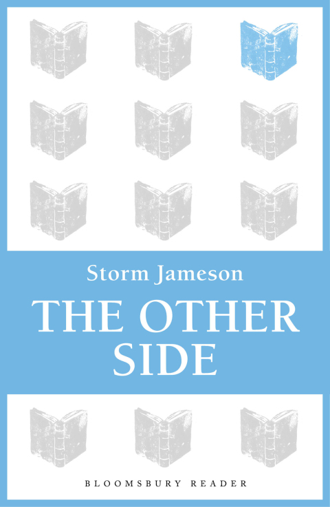 Cover image for book The Other Side