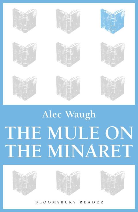 Cover image for book The Mule on the Minaret