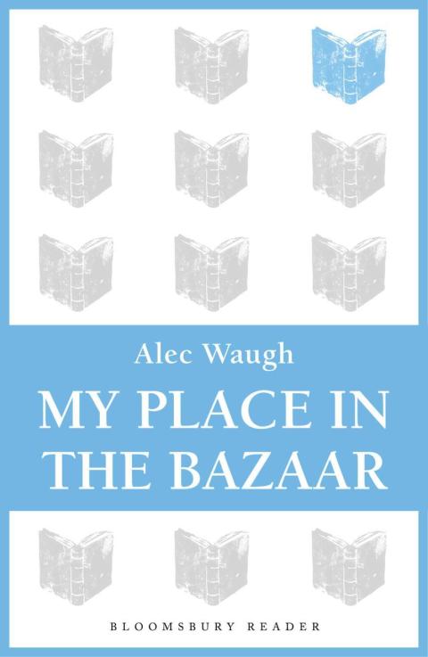 Cover image for book My Place in the Bazaar