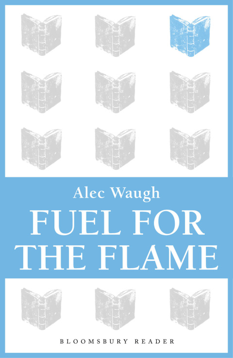 Cover image for book Fuel for the Flame