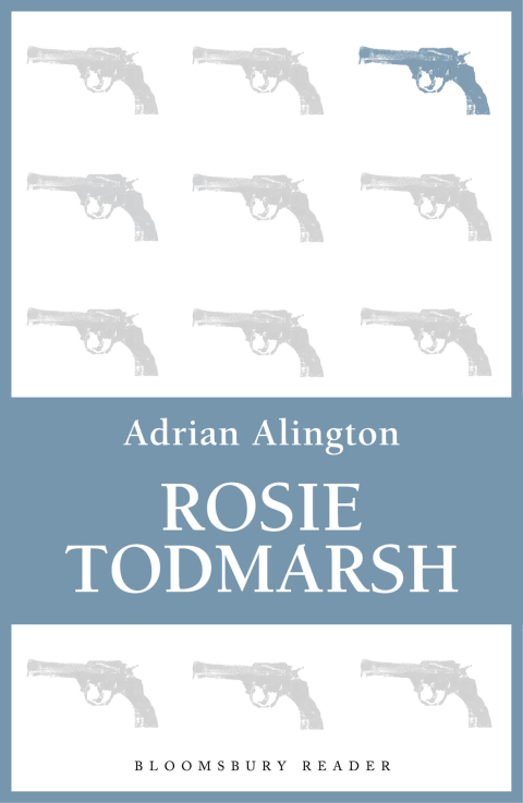 Cover image for book Rosie Todmarsh