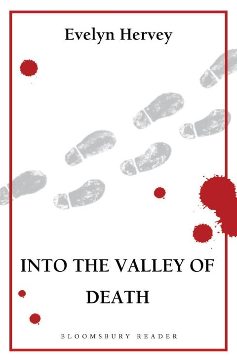 Cover image for book Into the Valley of Death