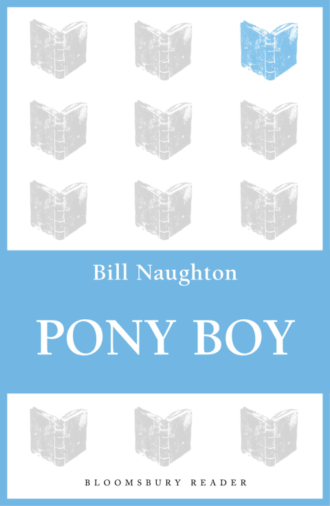 Cover image for book Pony Boy
