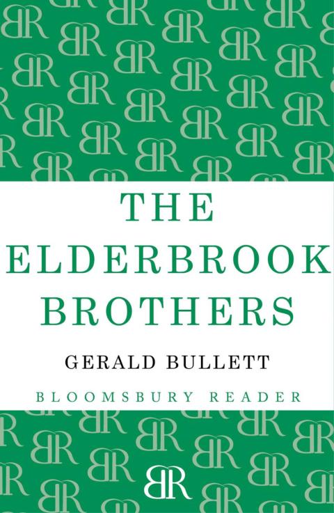 Cover image for book The Elderbrook Brothers