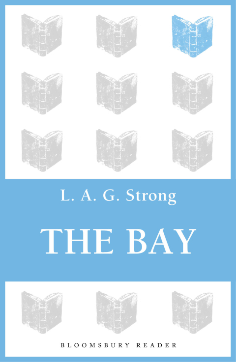 Cover image for book The Bay