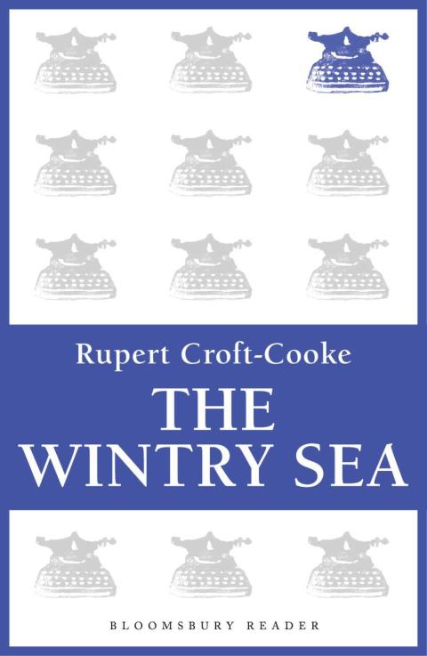 Cover image for book The Wintry Sea
