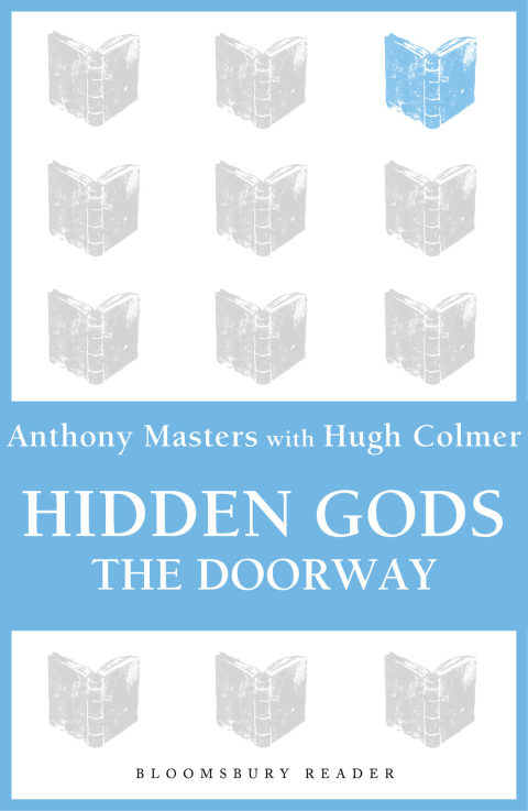 Cover image for book Hidden Gods
