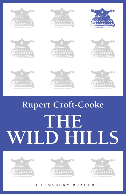 Cover image for book The Wild Hills