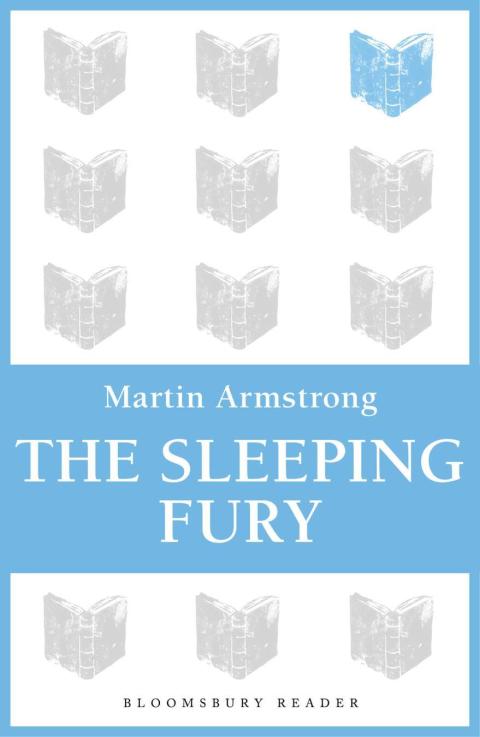 Cover image for book The Sleeping Fury