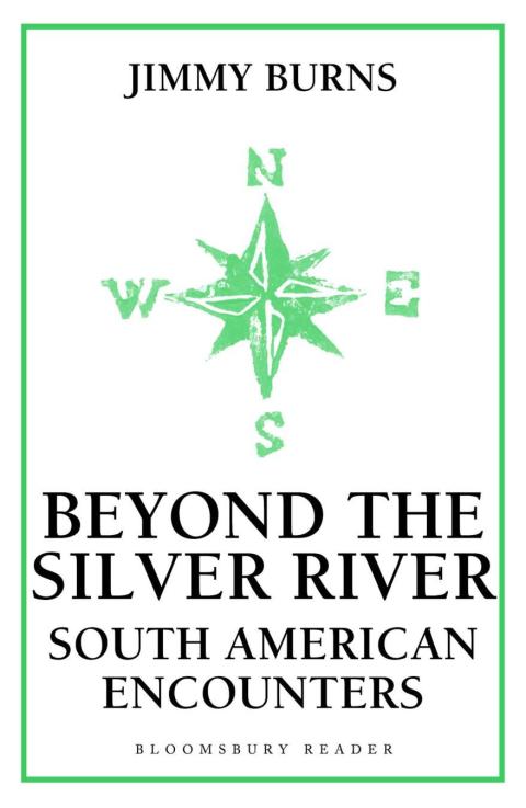 Cover image for book Beyond The Silver River