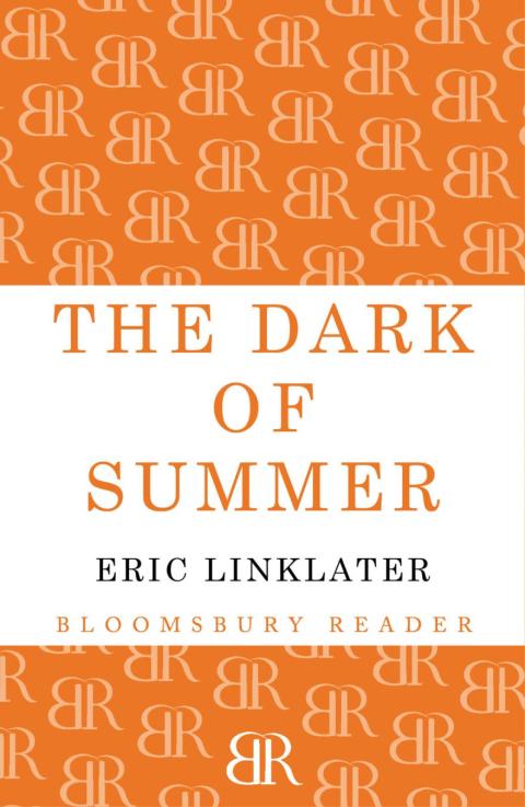 Cover image for book The Dark of Summer
