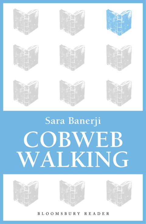 Cover image for book Cobweb Walking