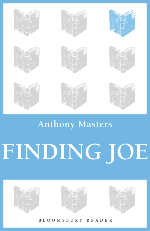 Cover image for book Finding Joe