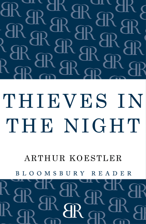 Cover image for book Thieves in the Night