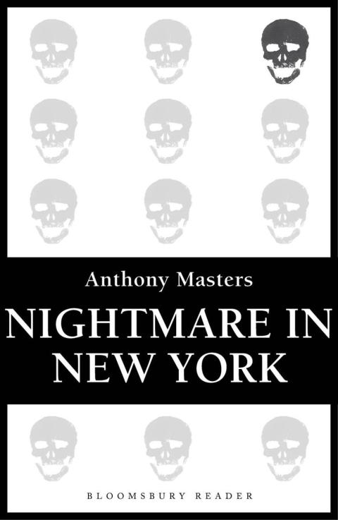 Cover image for book Nightmare in New York