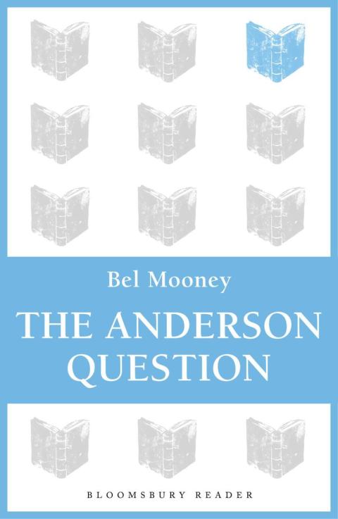 Cover image for book The Anderson Question