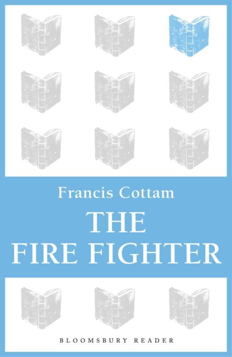 Cover image for book The Fire Fighter