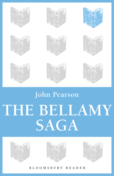 Cover image for book The Bellamy Saga