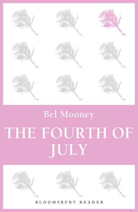 Cover image for book The Fourth of July