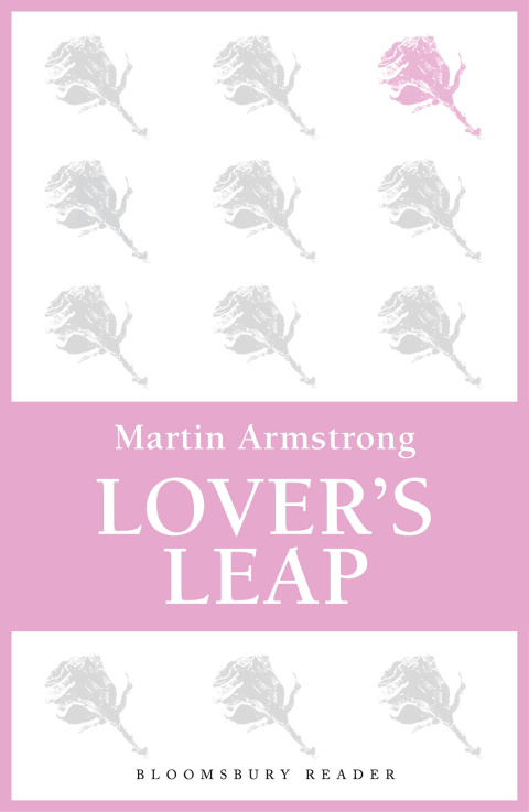 Cover image for book Lover's Leap