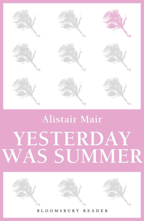 Cover image for book Yesterday was Summer