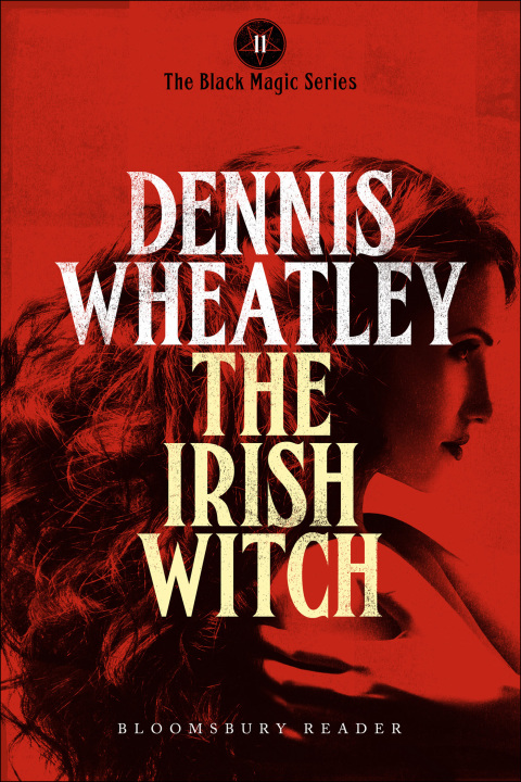 Cover image for book The Irish Witch