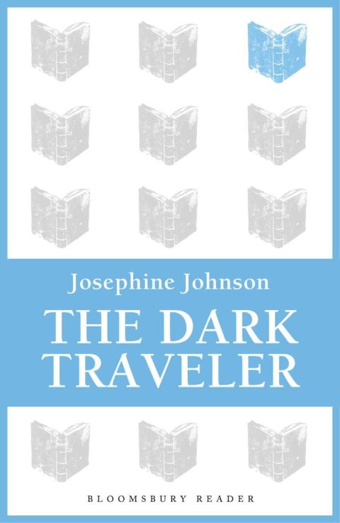Cover image for book The Dark Traveler