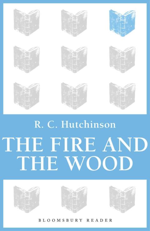 Cover image for book The Fire and the Wood