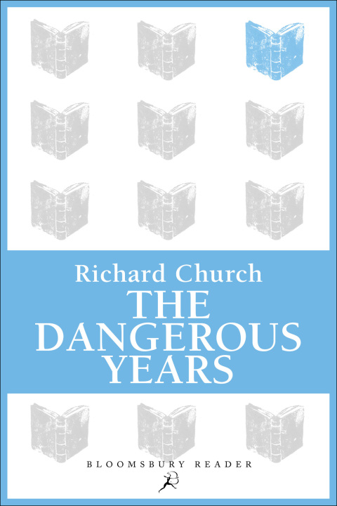 Cover image for book The Dangerous Years