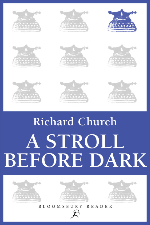 Cover image for book A Stroll Before Dark