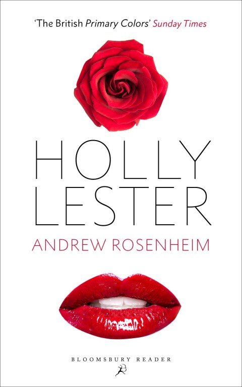 Cover image for book Holly Lester