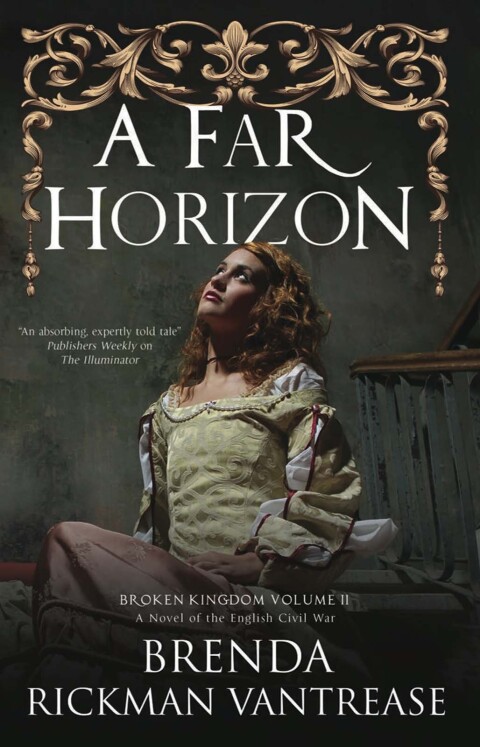Cover image for book A Far Horizon