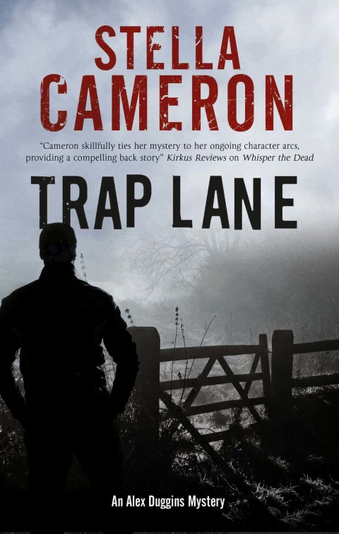 Cover image for book Alex Duggins Mystery
