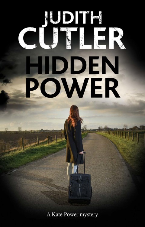 Cover image for book Kate Power mystery