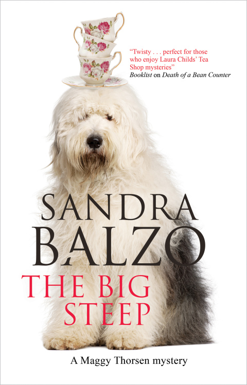 Cover image for book The Big Steep