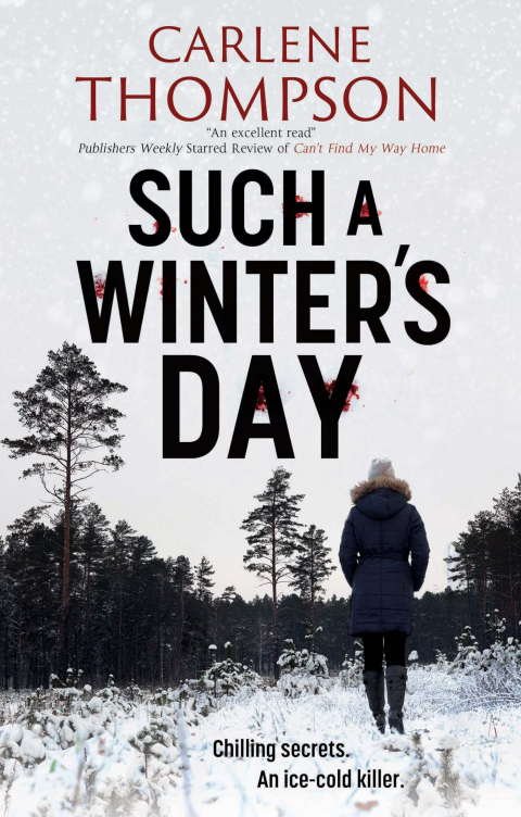 Cover image for book Such a Winter's Day