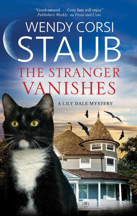 Cover image for book The Stranger Vanishes