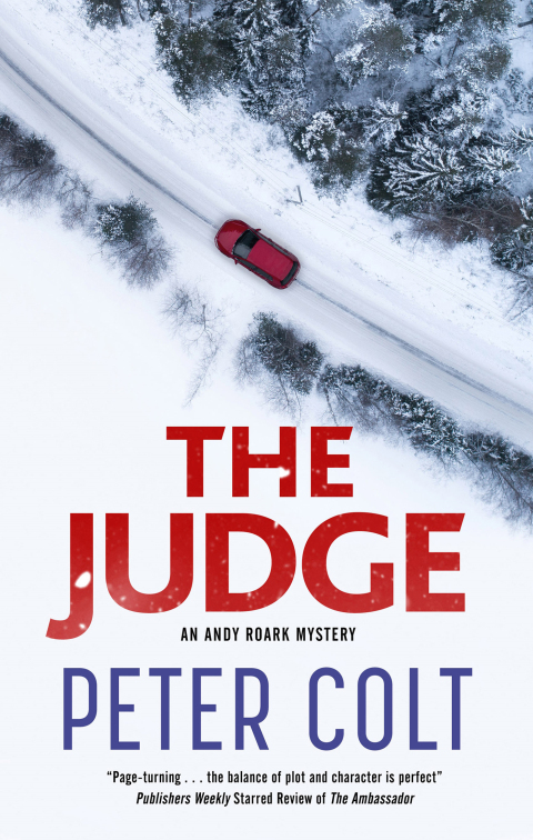 Cover image for book The Judge