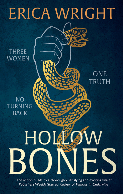 Cover image for book Hollow Bones