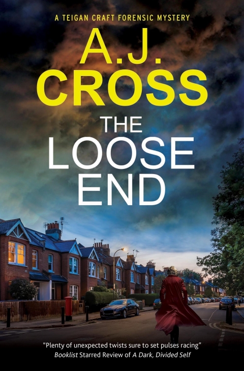 Cover image for book The Loose End