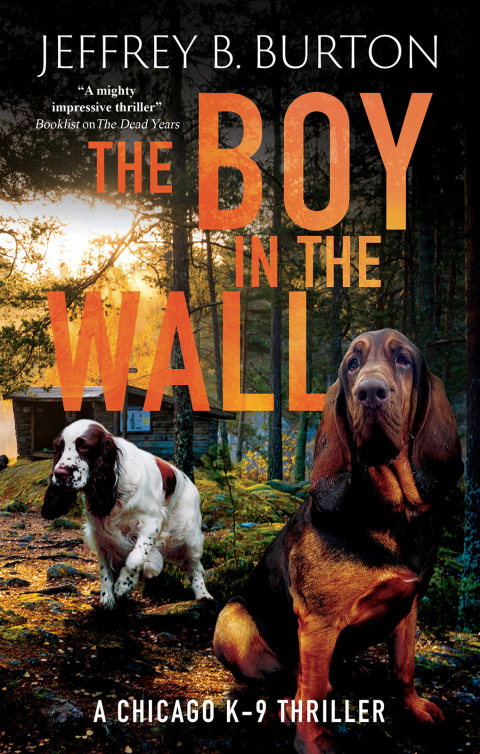 Cover image for book The Boy in the Wall