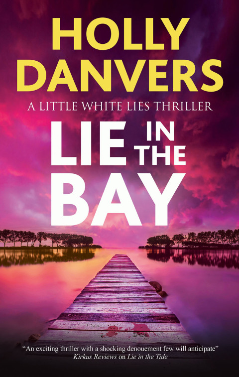 Cover image for book Lie in the Bay