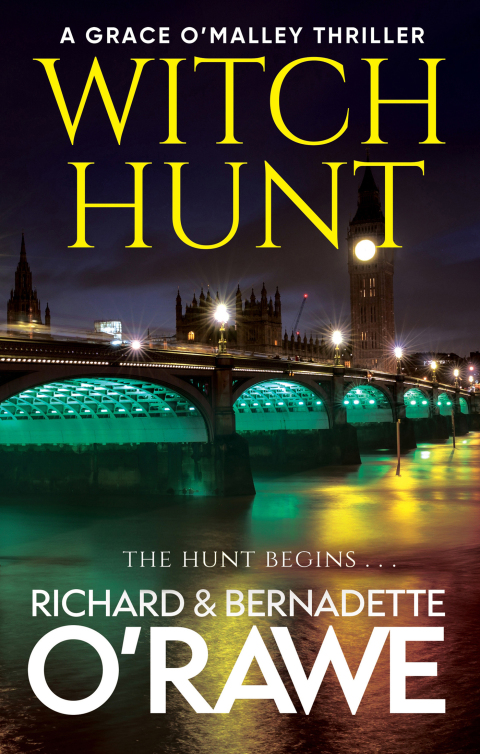 Cover image for book Witch Hunt