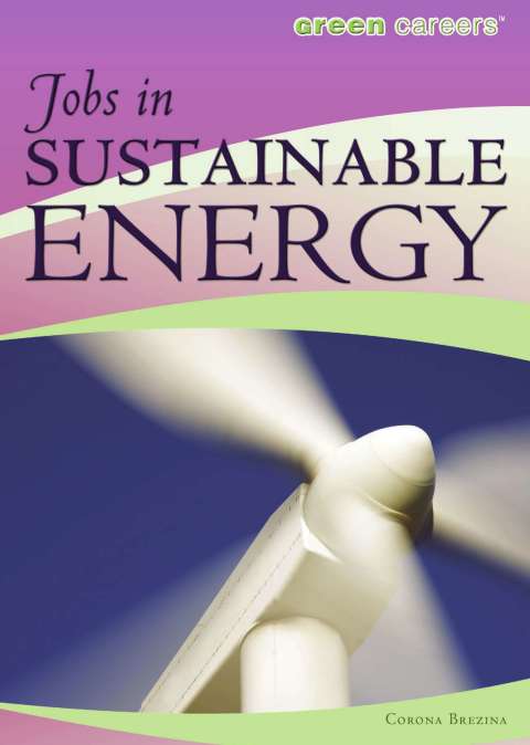 Cover image for book Jobs in Sustainable Energy