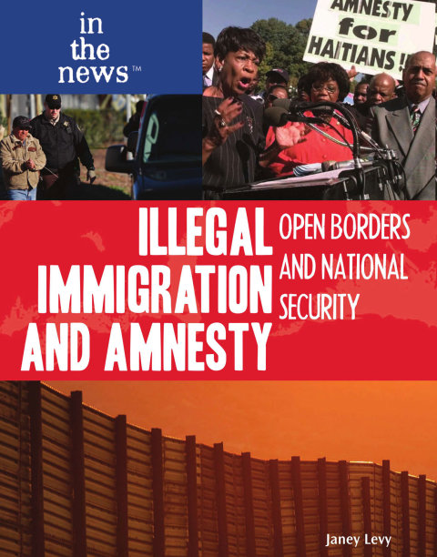 Cover image for book Illegal Immigration and Amnesty
