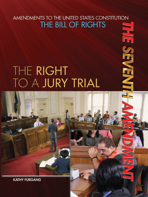 Cover image for book The Seventh Amendment