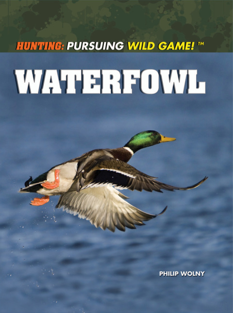 Cover image for book Waterfowl