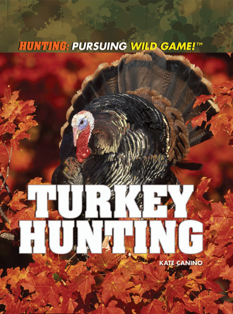 Cover image for book Turkey Hunting