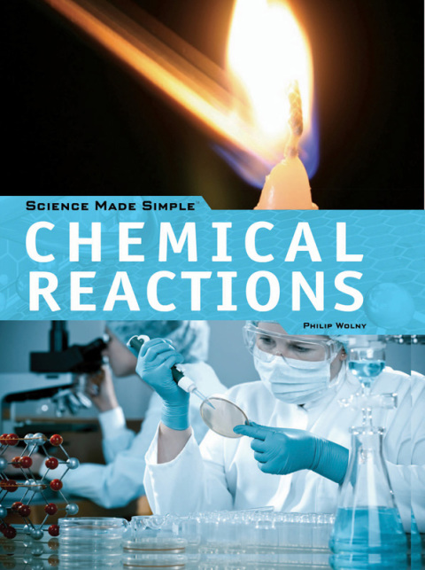 Cover image for book Chemical Reactions